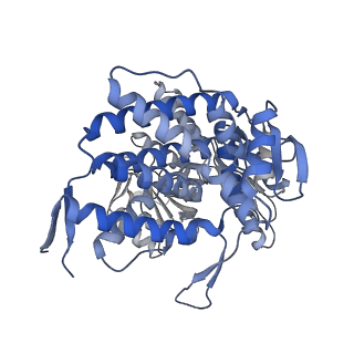14352_7ywy_V_v1-0
Structure of the GroEL chaperonin in complex with the CnoX chaperedoxin