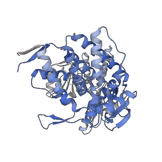 14352_7ywy_W_v1-0
Structure of the GroEL chaperonin in complex with the CnoX chaperedoxin