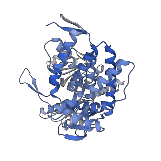 14352_7ywy_X_v1-0
Structure of the GroEL chaperonin in complex with the CnoX chaperedoxin