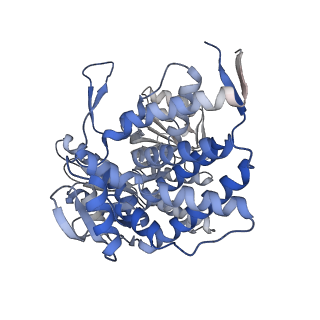 14352_7ywy_Z_v1-0
Structure of the GroEL chaperonin in complex with the CnoX chaperedoxin