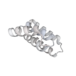 14352_7ywy_a_v1-0
Structure of the GroEL chaperonin in complex with the CnoX chaperedoxin