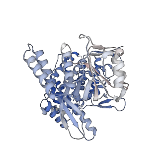 14352_7ywy_b_v1-0
Structure of the GroEL chaperonin in complex with the CnoX chaperedoxin