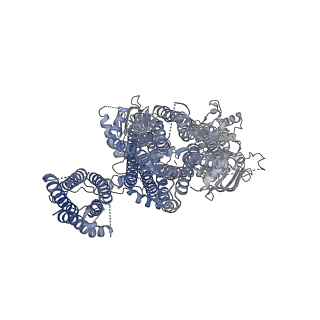 6848_5yw8_B_v1-1
Structure of pancreatic ATP-sensitive potassium channel bound with ATPgammaS (all particles at 4.4A)