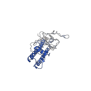 6848_5yw8_C_v1-1
Structure of pancreatic ATP-sensitive potassium channel bound with ATPgammaS (all particles at 4.4A)