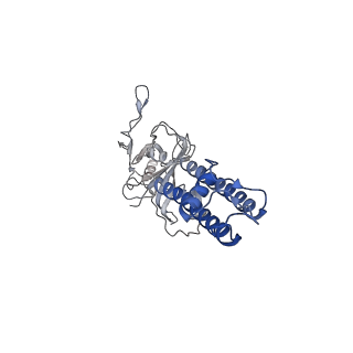 6848_5yw8_E_v1-1
Structure of pancreatic ATP-sensitive potassium channel bound with ATPgammaS (all particles at 4.4A)