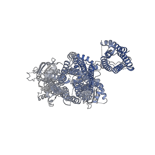 6848_5yw8_F_v1-1
Structure of pancreatic ATP-sensitive potassium channel bound with ATPgammaS (all particles at 4.4A)