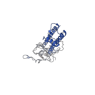6848_5yw8_G_v1-1
Structure of pancreatic ATP-sensitive potassium channel bound with ATPgammaS (all particles at 4.4A)
