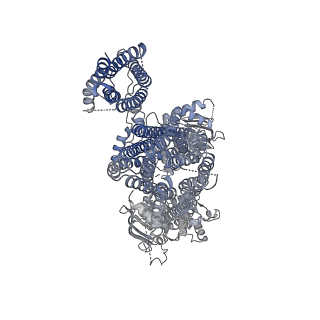 6848_5yw8_H_v1-1
Structure of pancreatic ATP-sensitive potassium channel bound with ATPgammaS (all particles at 4.4A)