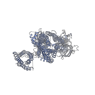 6849_5yw9_B_v1-1
Structure of pancreatic ATP-sensitive potassium channel bound with ATPgammaS (class1 5.0A)