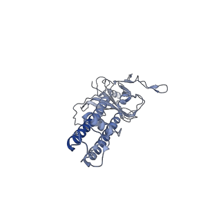 6849_5yw9_C_v1-1
Structure of pancreatic ATP-sensitive potassium channel bound with ATPgammaS (class1 5.0A)