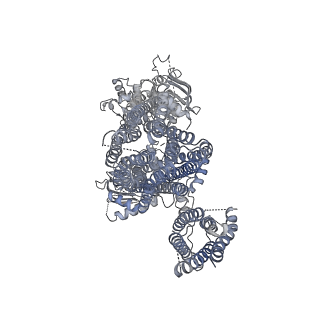 6849_5yw9_D_v1-1
Structure of pancreatic ATP-sensitive potassium channel bound with ATPgammaS (class1 5.0A)