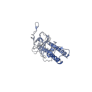 6849_5yw9_E_v1-1
Structure of pancreatic ATP-sensitive potassium channel bound with ATPgammaS (class1 5.0A)