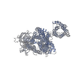 6849_5yw9_F_v1-1
Structure of pancreatic ATP-sensitive potassium channel bound with ATPgammaS (class1 5.0A)
