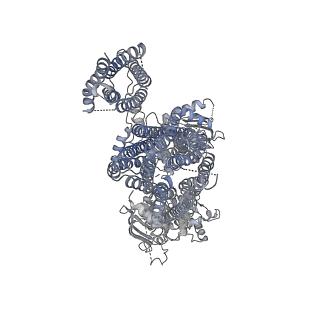 6849_5yw9_H_v1-1
Structure of pancreatic ATP-sensitive potassium channel bound with ATPgammaS (class1 5.0A)