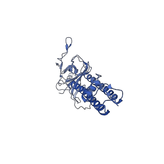 6852_5ywc_A_v1-1
Structure of pancreatic ATP-sensitive potassium channel bound with Mg-ADP (CTD class1 at 4.3A)