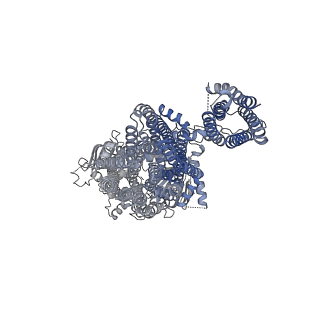 6852_5ywc_B_v1-1
Structure of pancreatic ATP-sensitive potassium channel bound with Mg-ADP (CTD class1 at 4.3A)