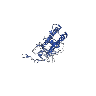 6852_5ywc_C_v1-1
Structure of pancreatic ATP-sensitive potassium channel bound with Mg-ADP (CTD class1 at 4.3A)