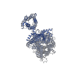 6852_5ywc_D_v1-1
Structure of pancreatic ATP-sensitive potassium channel bound with Mg-ADP (CTD class1 at 4.3A)