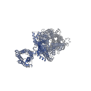 6852_5ywc_F_v1-1
Structure of pancreatic ATP-sensitive potassium channel bound with Mg-ADP (CTD class1 at 4.3A)