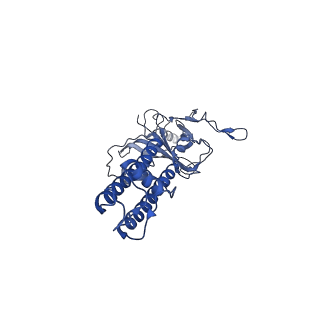 6852_5ywc_G_v1-1
Structure of pancreatic ATP-sensitive potassium channel bound with Mg-ADP (CTD class1 at 4.3A)