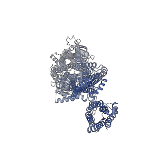 6852_5ywc_H_v1-1
Structure of pancreatic ATP-sensitive potassium channel bound with Mg-ADP (CTD class1 at 4.3A)