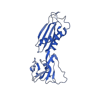 10996_6yxu_B_v1-0
Structure of Mycobacterium smegmatis HelD protein in complex with RNA polymerase core - State I, primary channel engaged