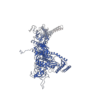 10996_6yxu_D_v1-0
Structure of Mycobacterium smegmatis HelD protein in complex with RNA polymerase core - State I, primary channel engaged