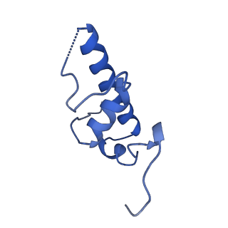 10996_6yxu_E_v1-0
Structure of Mycobacterium smegmatis HelD protein in complex with RNA polymerase core - State I, primary channel engaged