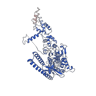 10996_6yxu_H_v1-0
Structure of Mycobacterium smegmatis HelD protein in complex with RNA polymerase core - State I, primary channel engaged