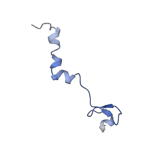 10999_6yxx_A5_v1-0
State A of the Trypanosoma brucei mitoribosomal large subunit assembly intermediate