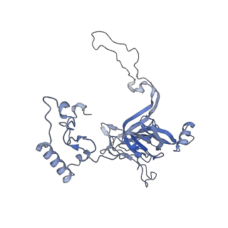 10999_6yxx_AE_v1-0
State A of the Trypanosoma brucei mitoribosomal large subunit assembly intermediate