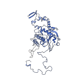 10999_6yxx_AF_v1-0
State A of the Trypanosoma brucei mitoribosomal large subunit assembly intermediate