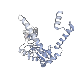 10999_6yxx_AK_v1-0
State A of the Trypanosoma brucei mitoribosomal large subunit assembly intermediate