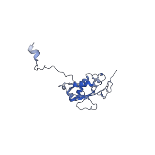 10999_6yxx_AN_v1-0
State A of the Trypanosoma brucei mitoribosomal large subunit assembly intermediate