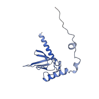 10999_6yxx_AT_v1-0
State A of the Trypanosoma brucei mitoribosomal large subunit assembly intermediate