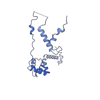 10999_6yxx_AU_v1-0
State A of the Trypanosoma brucei mitoribosomal large subunit assembly intermediate