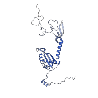 10999_6yxx_AW_v1-0
State A of the Trypanosoma brucei mitoribosomal large subunit assembly intermediate