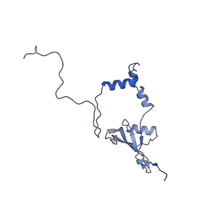 10999_6yxx_AX_v1-0
State A of the Trypanosoma brucei mitoribosomal large subunit assembly intermediate