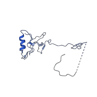 10999_6yxx_Ae_v1-0
State A of the Trypanosoma brucei mitoribosomal large subunit assembly intermediate