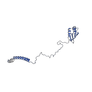 10999_6yxx_Ag_v1-0
State A of the Trypanosoma brucei mitoribosomal large subunit assembly intermediate