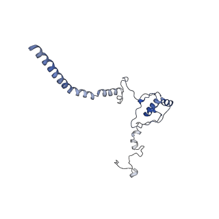 10999_6yxx_Av_v1-0
State A of the Trypanosoma brucei mitoribosomal large subunit assembly intermediate