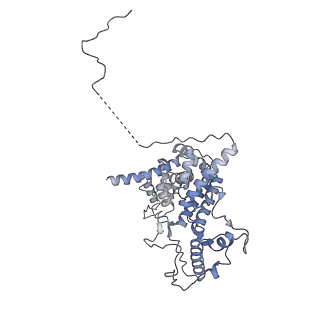 10999_6yxx_BB_v1-0
State A of the Trypanosoma brucei mitoribosomal large subunit assembly intermediate