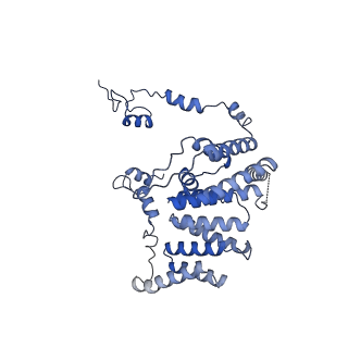 10999_6yxx_BE_v1-0
State A of the Trypanosoma brucei mitoribosomal large subunit assembly intermediate