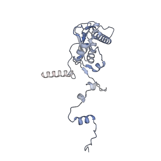 10999_6yxx_BH_v1-0
State A of the Trypanosoma brucei mitoribosomal large subunit assembly intermediate