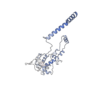 10999_6yxx_BJ_v1-0
State A of the Trypanosoma brucei mitoribosomal large subunit assembly intermediate
