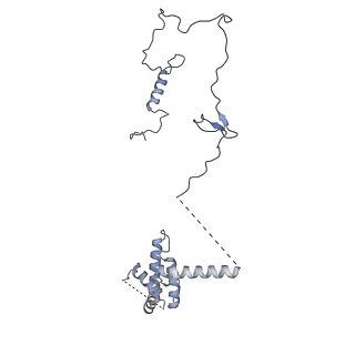 10999_6yxx_BK_v1-0
State A of the Trypanosoma brucei mitoribosomal large subunit assembly intermediate