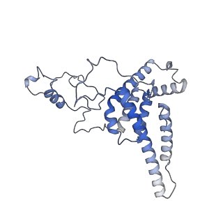 10999_6yxx_BL_v1-0
State A of the Trypanosoma brucei mitoribosomal large subunit assembly intermediate