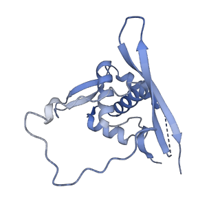 10999_6yxx_BN_v1-0
State A of the Trypanosoma brucei mitoribosomal large subunit assembly intermediate
