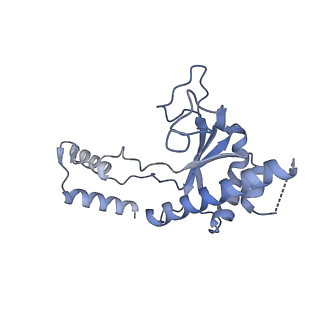 10999_6yxx_BO_v1-0
State A of the Trypanosoma brucei mitoribosomal large subunit assembly intermediate