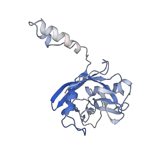 10999_6yxx_BQ_v1-0
State A of the Trypanosoma brucei mitoribosomal large subunit assembly intermediate